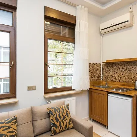 Bright 1 Bedroom Flat W/Ac In Cihangir Estambul